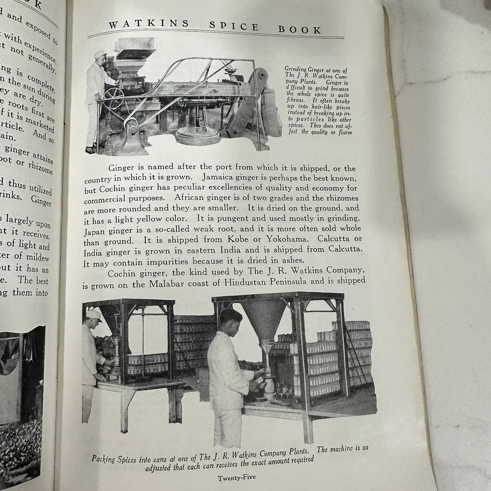 1927 Booklet Spices Orient J R Watkins Spice‎ Company Advertising VG